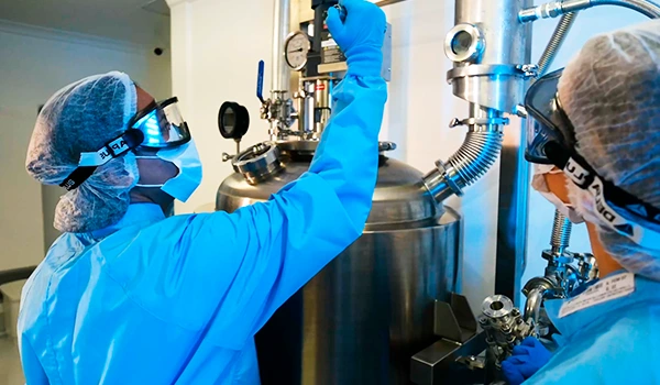 Equipe Semeya em produção de IFA e IFAV de Cannabis