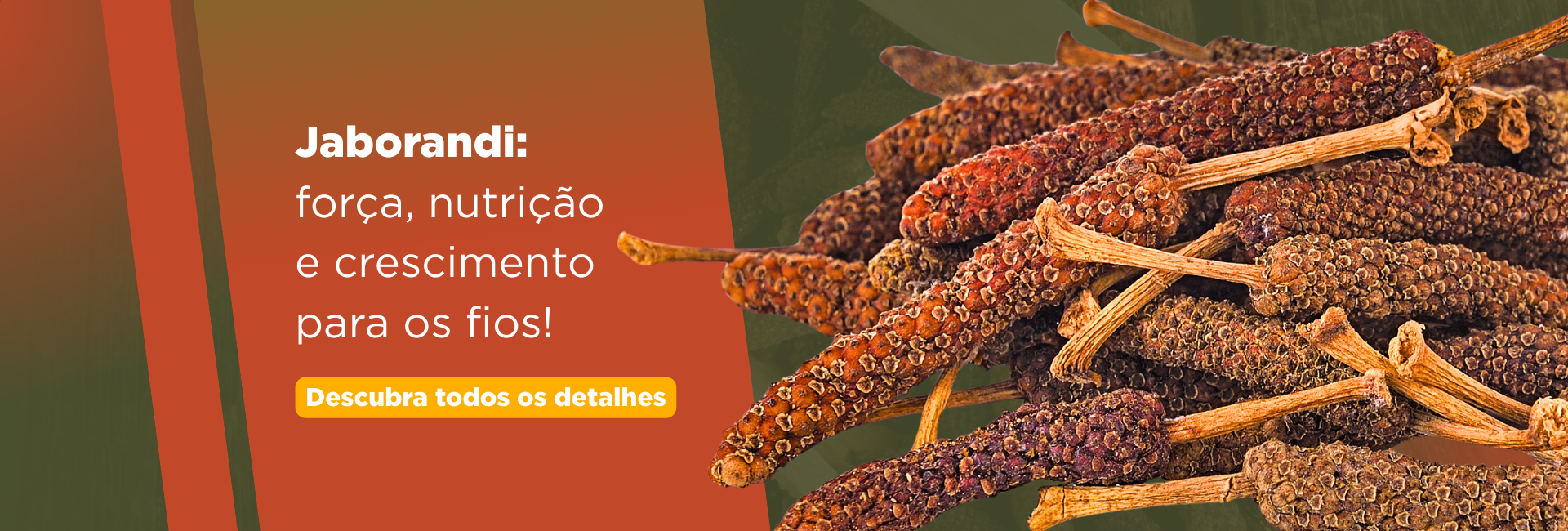 jaborandi